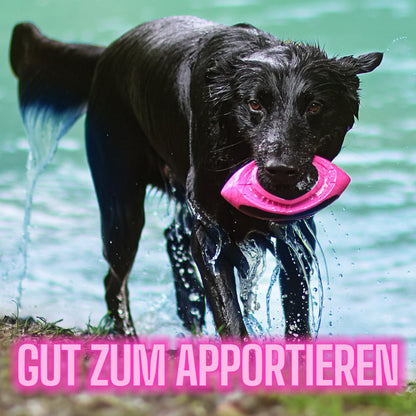 ne&no®  Hunde-Football – schwimmfähig