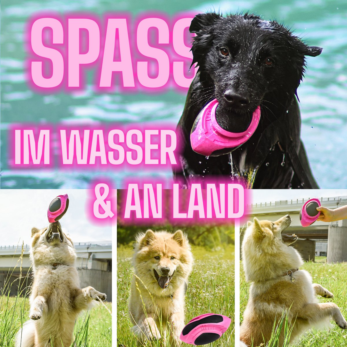 ne&no®  Hunde-Football – schwimmfähig