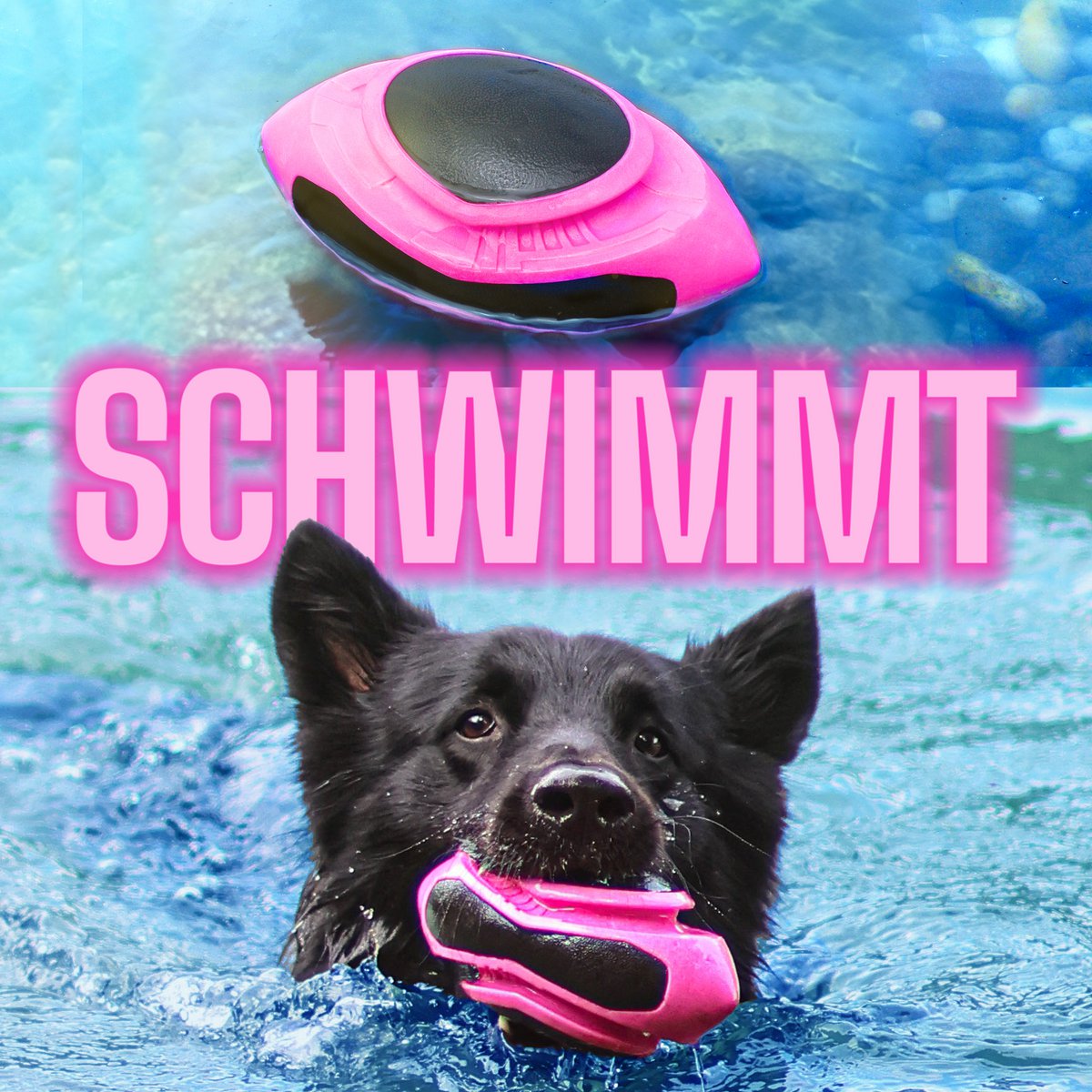 ne&no®  Hunde-Football – schwimmfähig