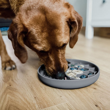 ne&no® Anti Schling Napf für Hunde und Katzen