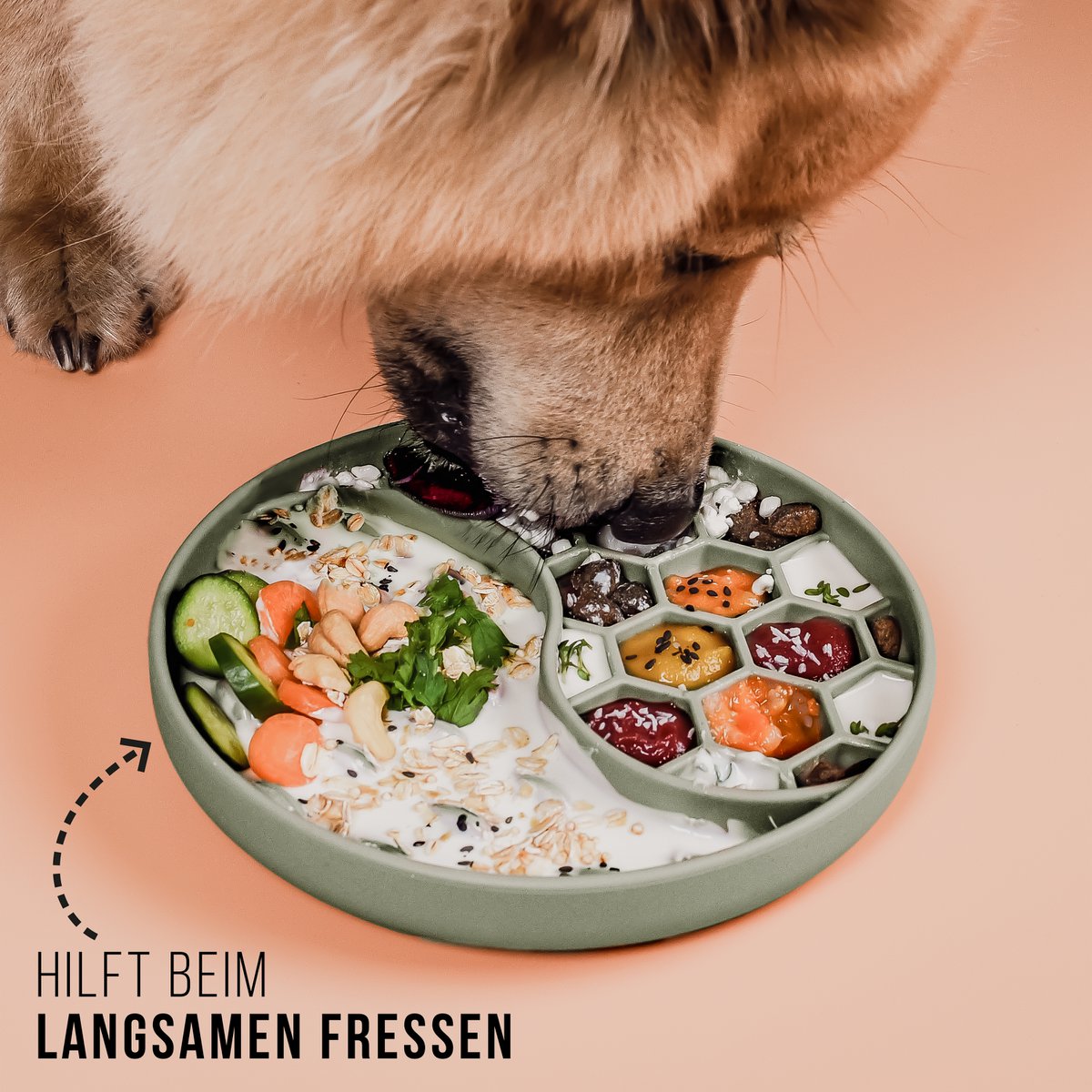 ne&no® Anti Schling Napf für Hunde und Katzen