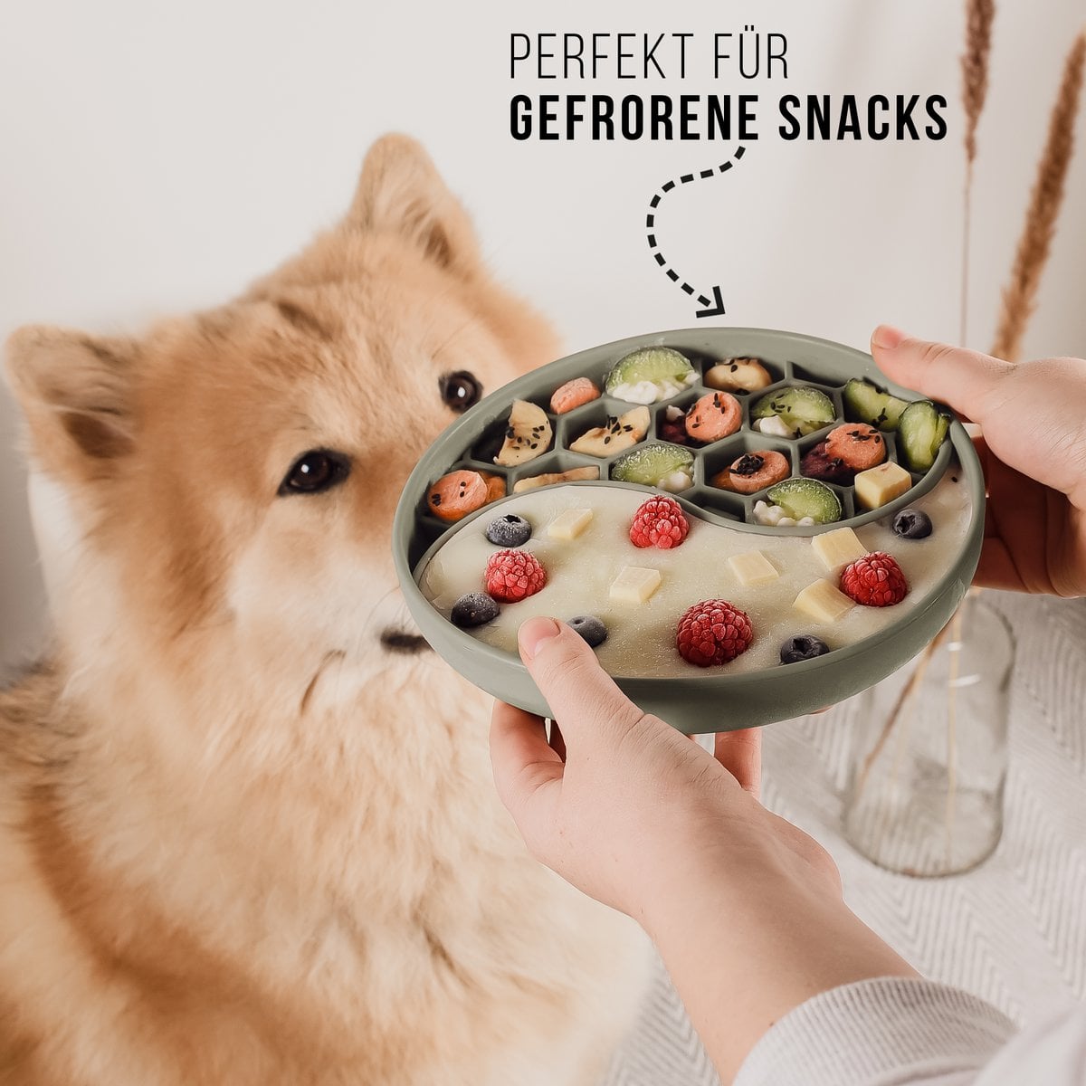 ne&no® Anti Schling Napf für Hunde und Katzen