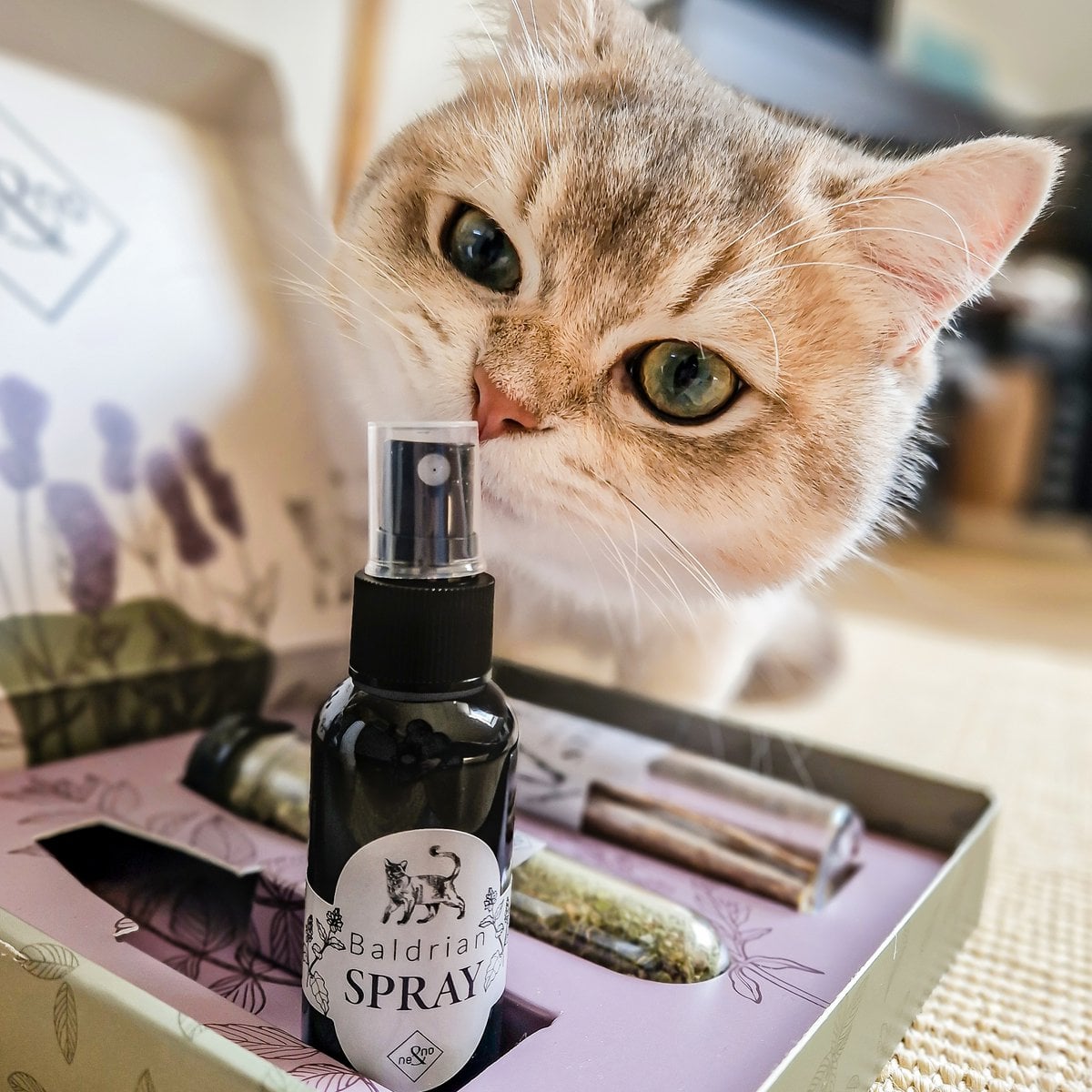 Geschenkset Katzen Wohlfühlkräuter: Katzenminze + Baldrian Spray +  Matatabi Sticks