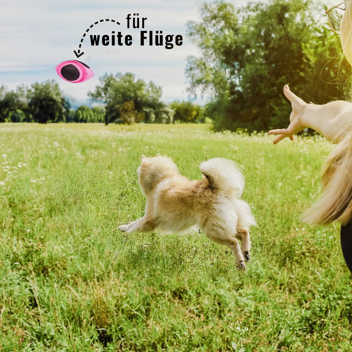 ne&no®  Hunde-Football – schwimmfähig