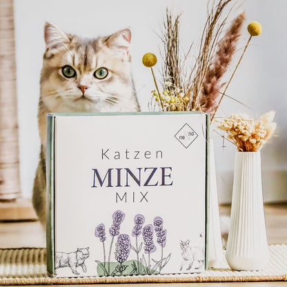 Geschenkset Katzen Wohlfühlkräuter: Katzenminze + Baldrian Spray +  Matatabi Sticks