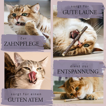 Geschenkset Katzen Wohlfühlkräuter: Katzenminze + Baldrian Spray +  Matatabi Sticks