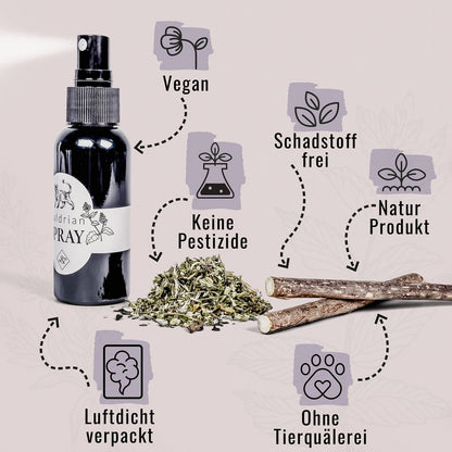 Geschenkset Katzen Wohlfühlkräuter: Katzenminze + Baldrian Spray +  Matatabi Sticks