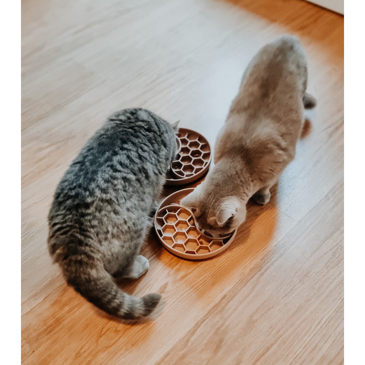 ne&no® Anti Schling Napf für Hunde und Katzen